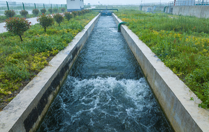 生态沟渠系统，水流通过植被过滤远景