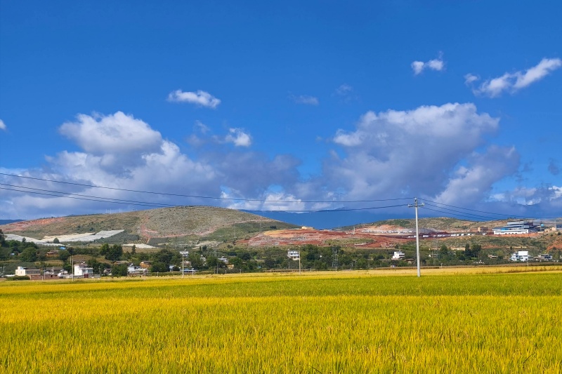 2025年我国农业绿色转型关键期，多举措破局前行