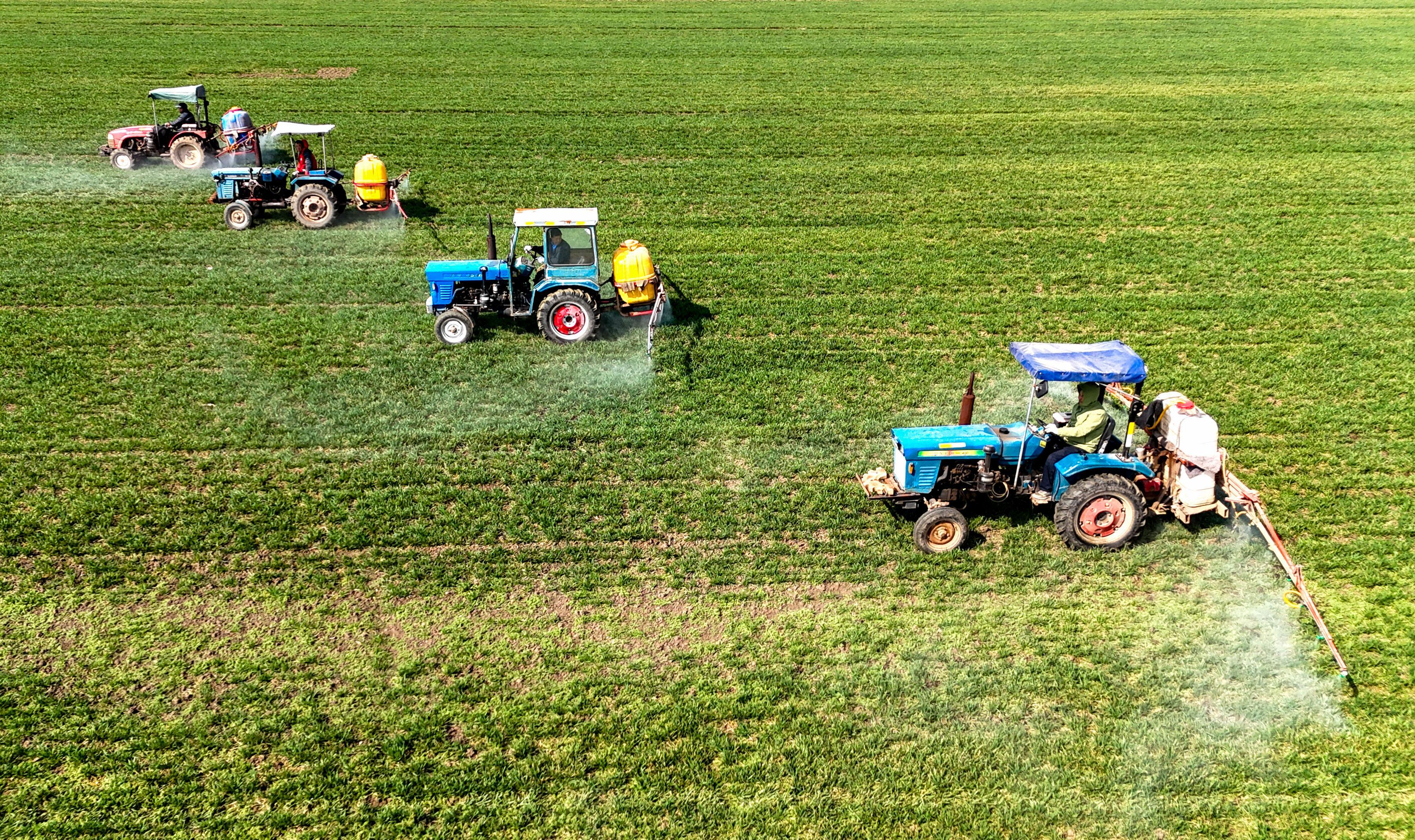 江淮大地：科技赋能，现代农业绘就丰收新画卷
