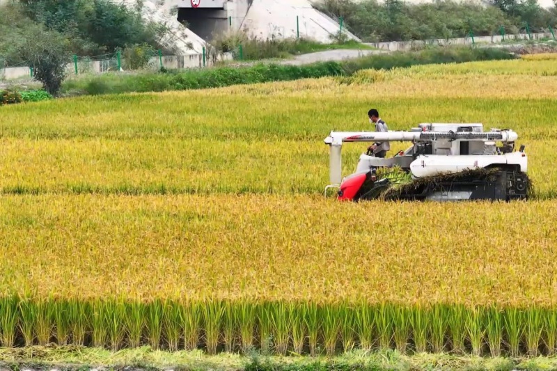 &ldquo;十四五&rdquo;甘肃农业农村：跨越发展，绘就振兴新画卷