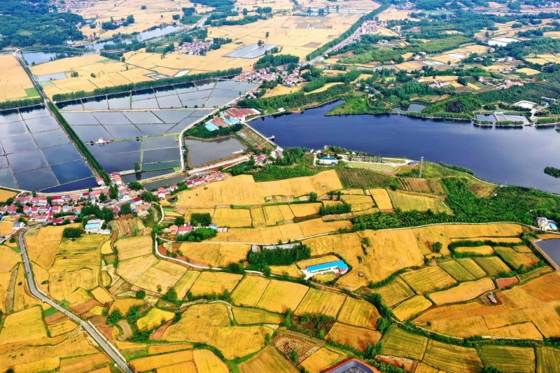 一文读懂湖北最新农业政策：资金、产业与技术如何引领现代农业升级