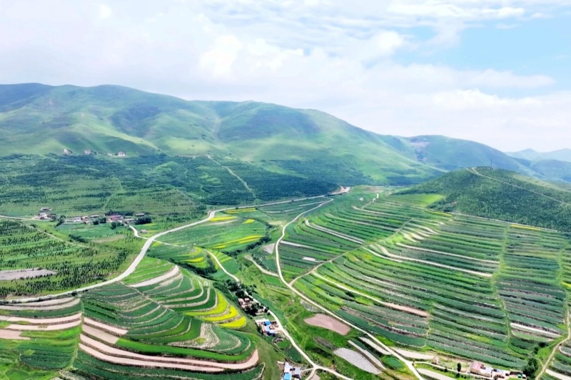 甘肃农村工作会议：擘画乡村全面振兴新蓝图