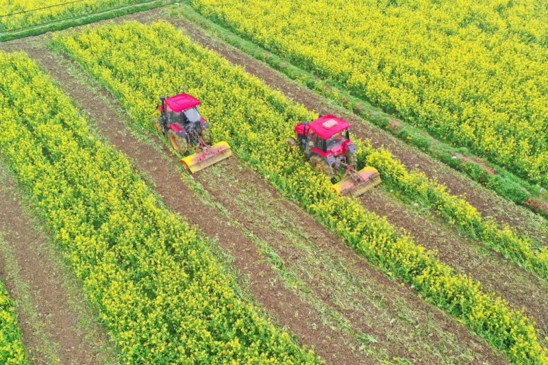 &ldquo;十五五&rdquo;开局，2026年中国农业政策锚定三大重点