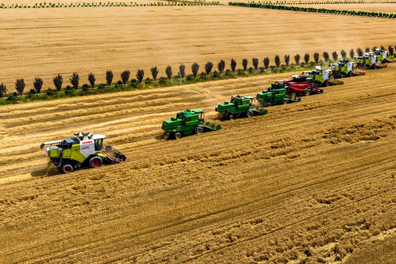 2025农业农村答卷：粮食产能稳固，藏粮于地于技显成效