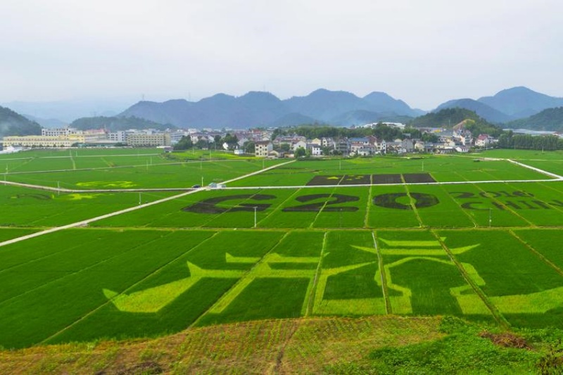 2026年起气象赋能农业：普查区划筑牢粮食安全根基