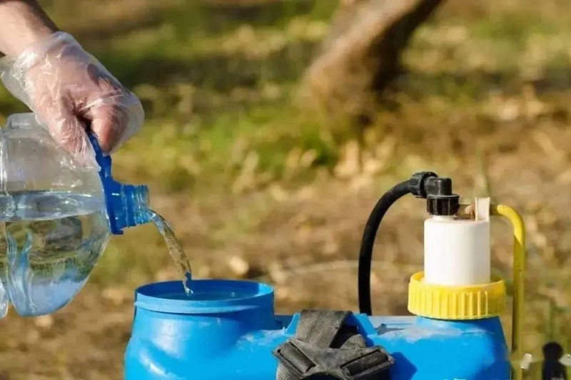 怎么正确使用农药？记住这六个要点，安全又高效