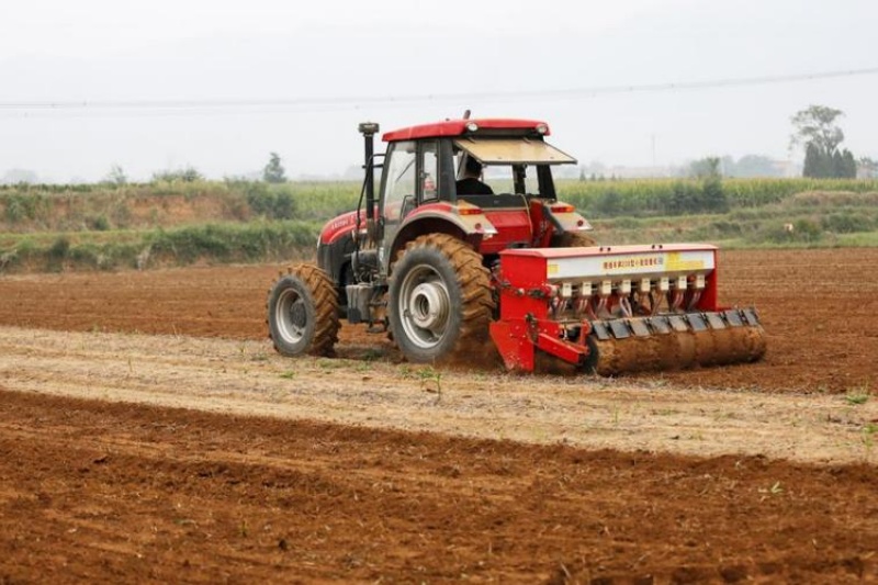 小麦播种深度影响收成，教你轻松避深坑