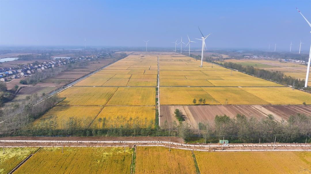 山西长治襄垣：&ldquo;农&rdquo;墨重彩绘就现代农耕新画卷