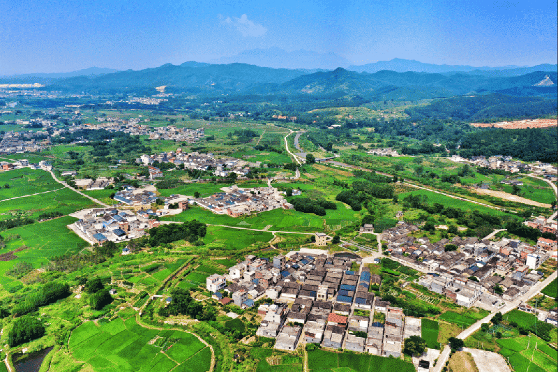 清远擘画未来五年农业蓝图：剑指千亿级产业集群，打造大湾区优质&ldquo;菜篮子&rdquo;