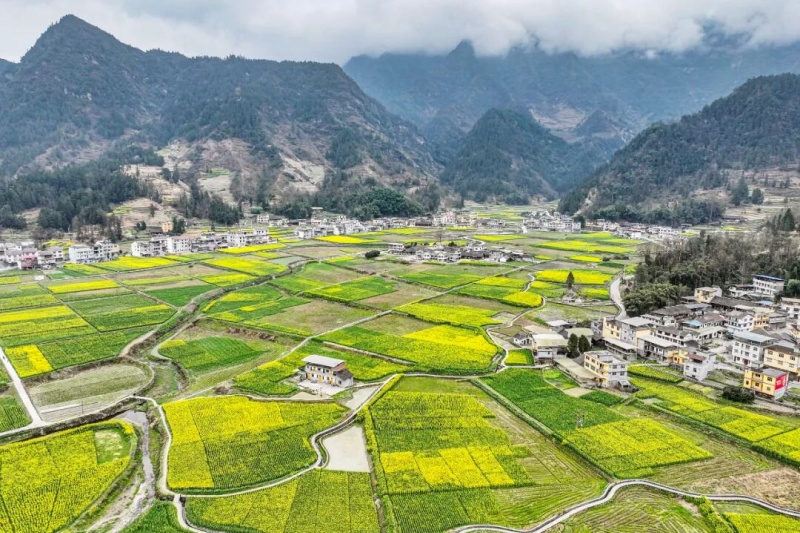 重庆市委农村工作会议召开，全面部署2026年&ldquo;三农&rdquo;工作