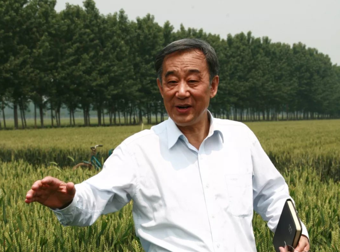 于振文：深耕小麦领域，助力农业丰收的杰出院士
