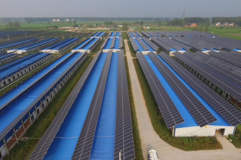 安徽巩固脱贫成果：从&ldquo;阳光存折&rdquo;到共同富裕的奋进之路