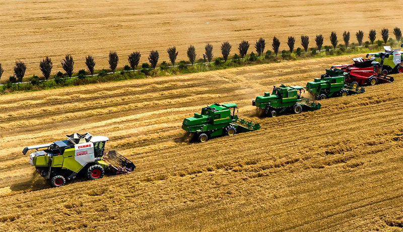 &ldquo;十五五&rdquo;农业怎么干？ 全国一盘棋下的地方突围战