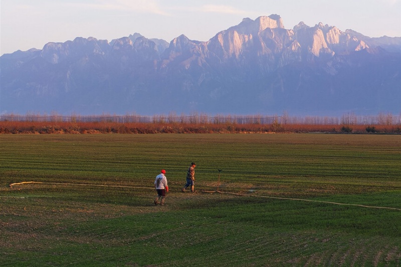 渭南春耕：智慧农业绘就现代农业新图景