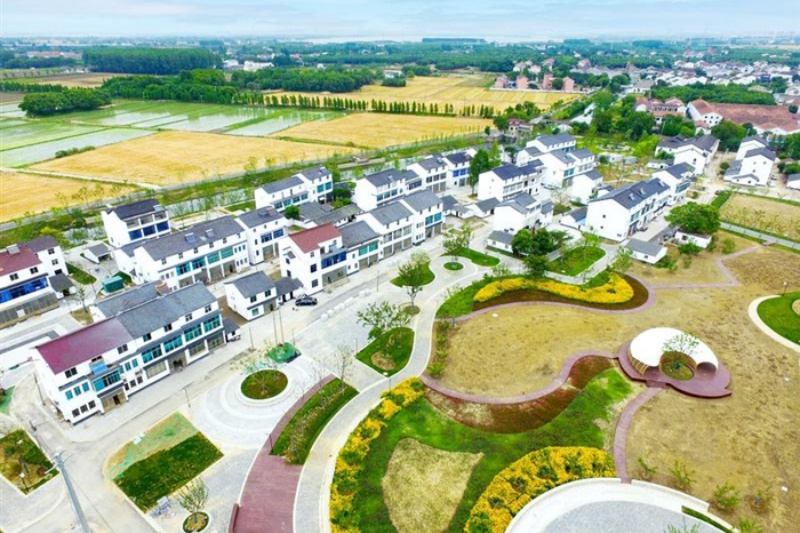 无锡大坊桥村：千年古村的乡村振兴新答卷