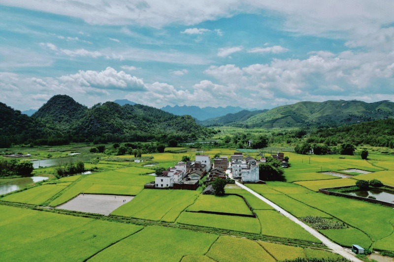 清远七星村：冬闲人不闲，西瓜产业蓄势再出发