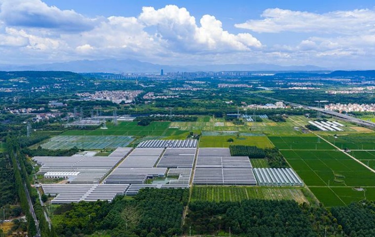 浙江&ldquo;三农&rdquo;新目标：多维度发力迈向高质量发展新征程