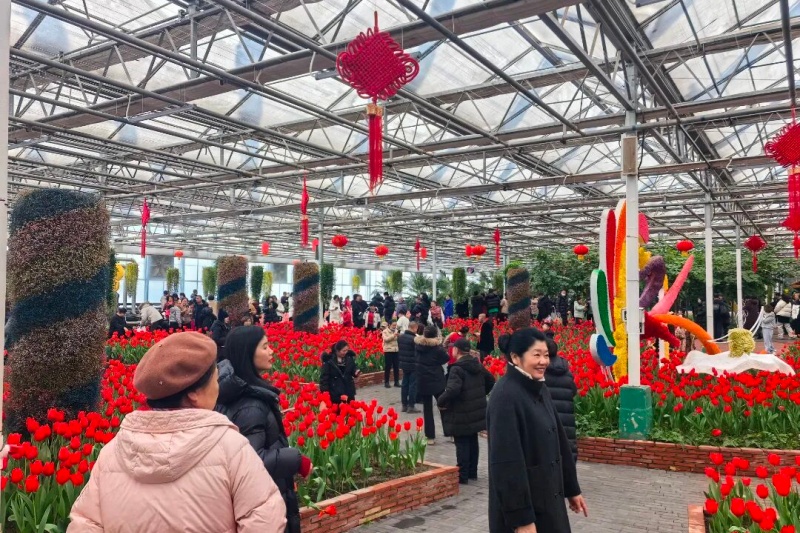 第十六届吉林农博会：新春盛宴，科技与年味齐飞