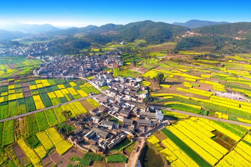 云南&ldquo;十五五&rdquo;开启常态化帮扶：聚焦六大任务推进乡村全面振兴