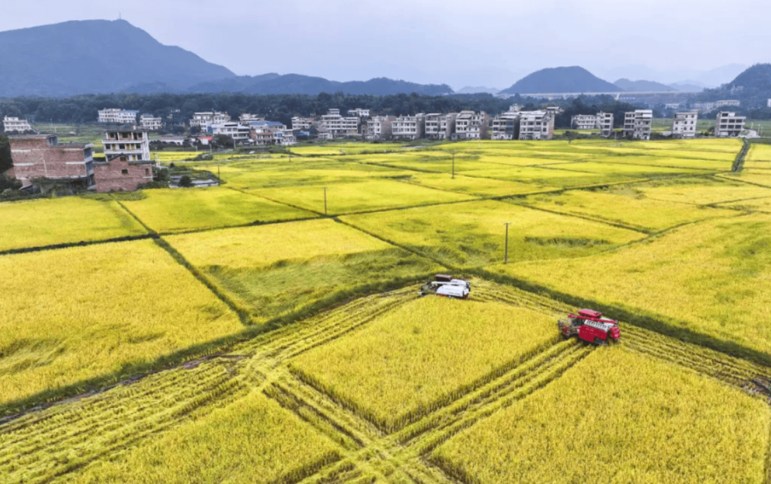 2025年全国人大农委：多举措推进农业农村法治建设