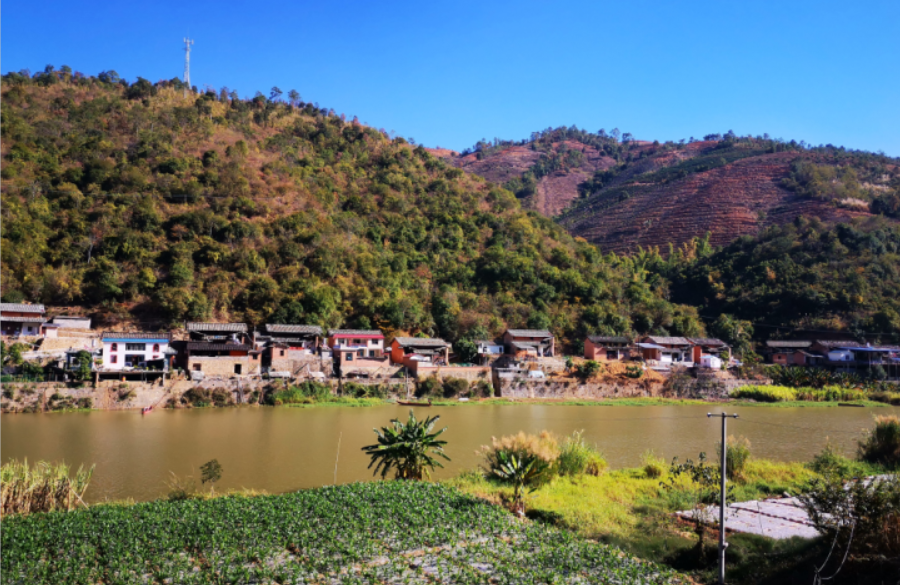 云南小河边村：&ldquo;绿美+&rdquo;绘就农文旅融合新画卷