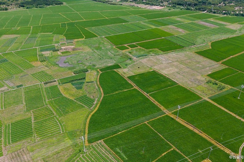 农村土地征收补偿与基本农田使用指南，农村常见土地问题解答