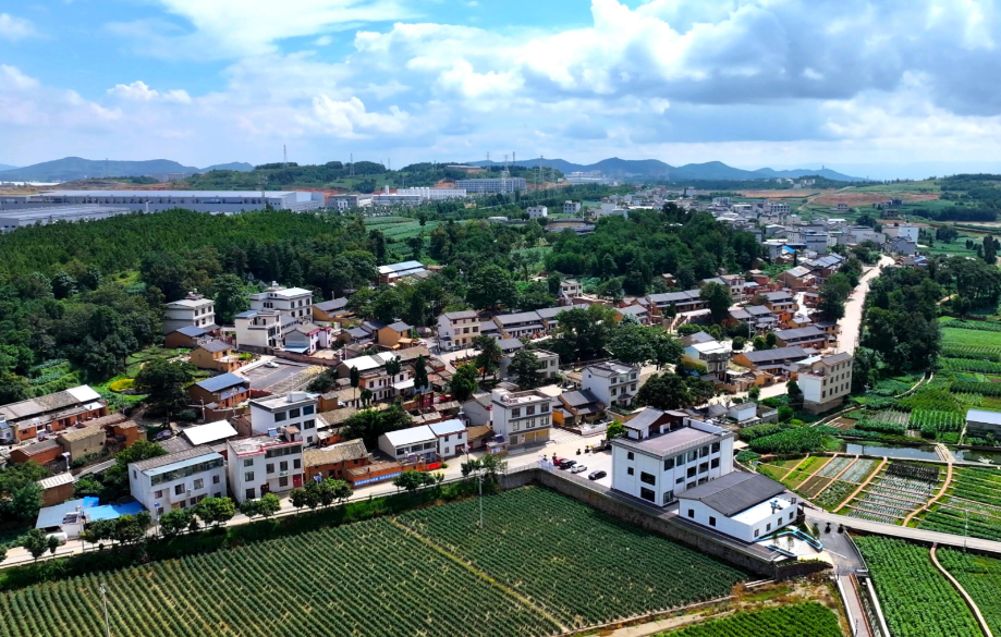 云南&ldquo;十五五&rdquo;：常态化精准帮扶，铺就乡村振兴新坦途