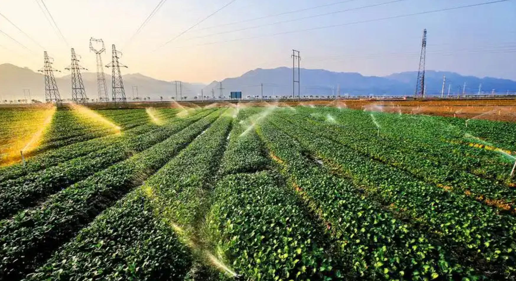 9月后各地种啥蔬菜好?