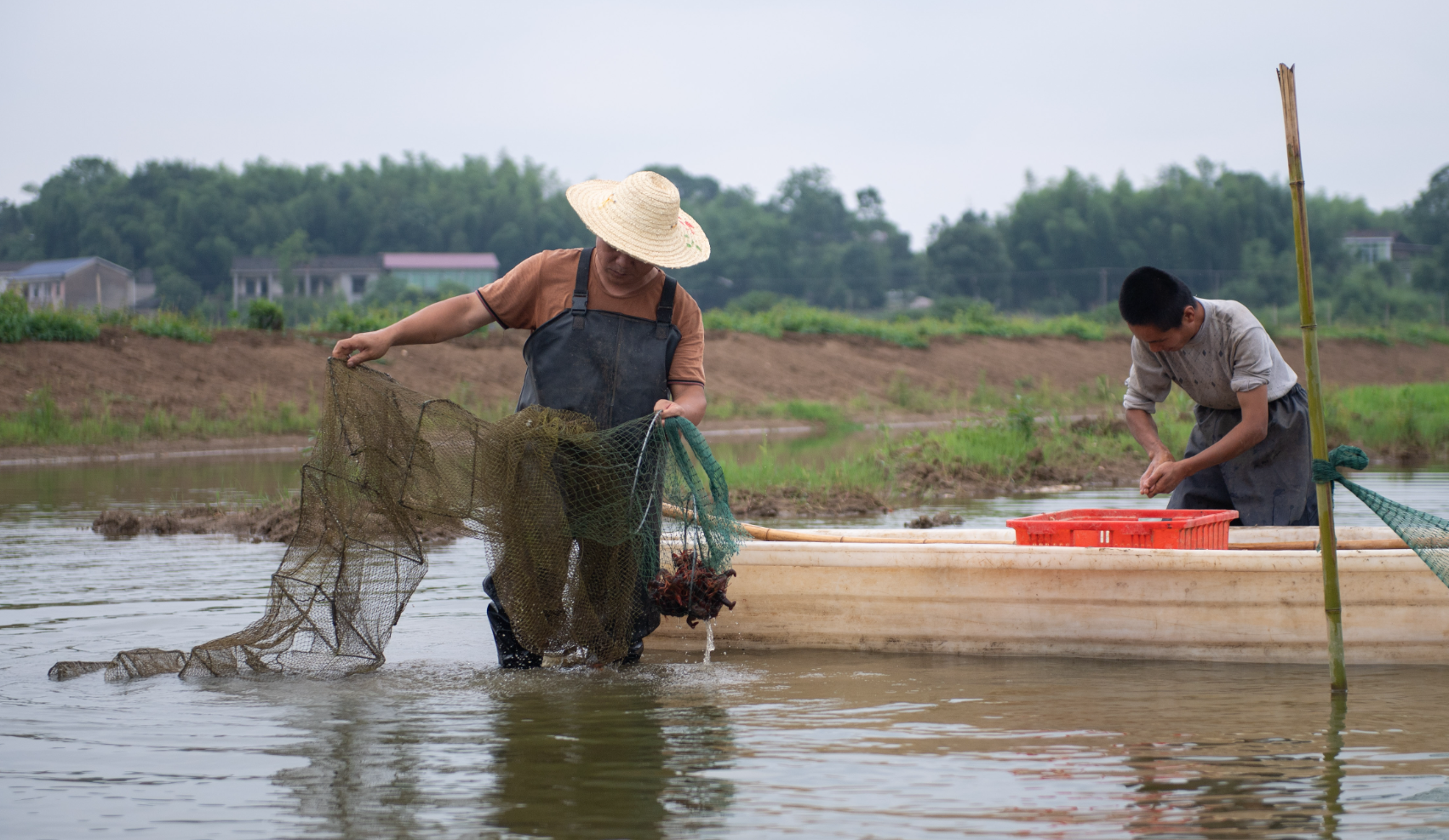 地笼是目前最常用的小龙虾捕捞工具之一,其特点是操作简便且捕捞效果好。