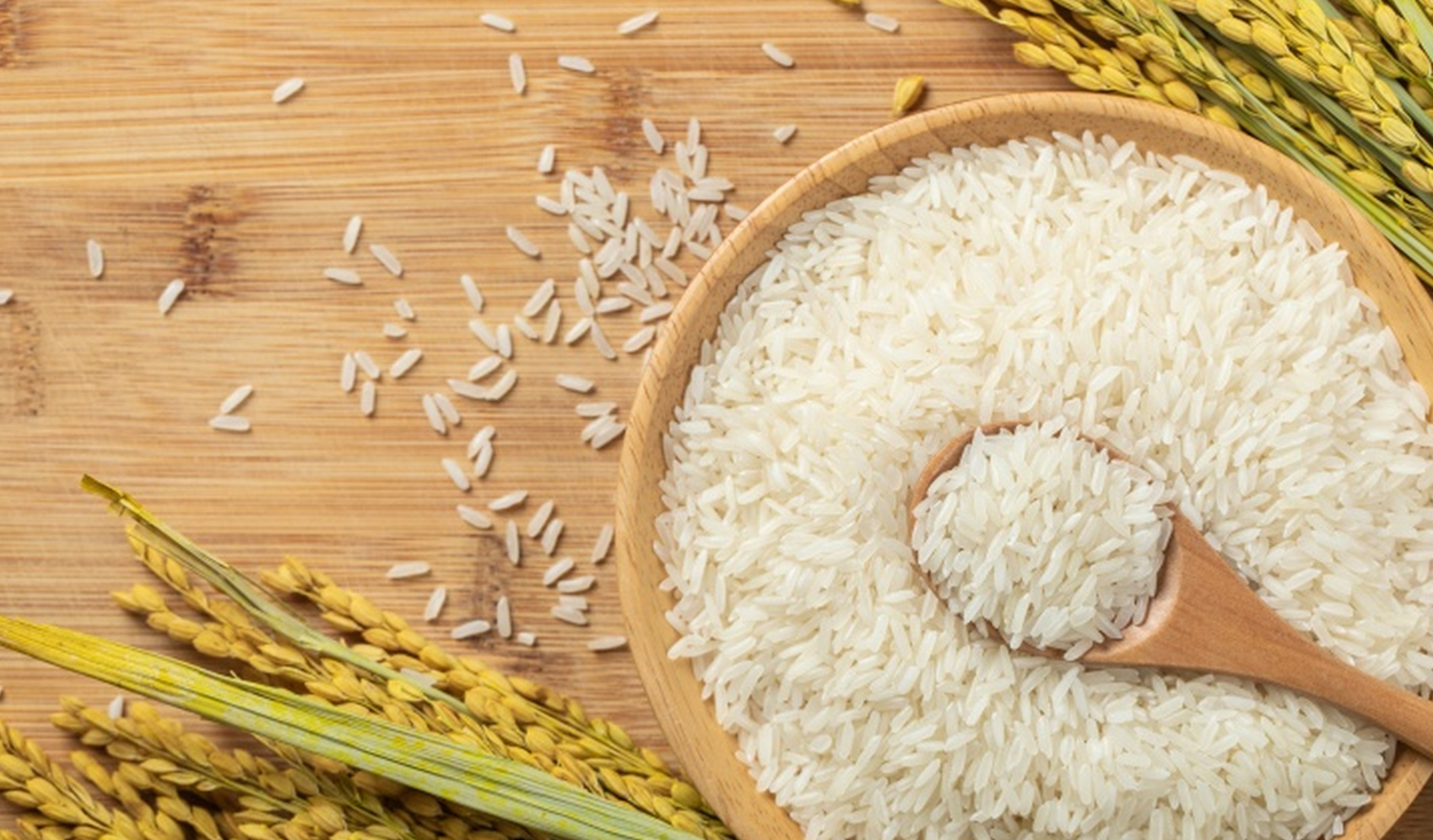 2025年10月全国大米价格行情