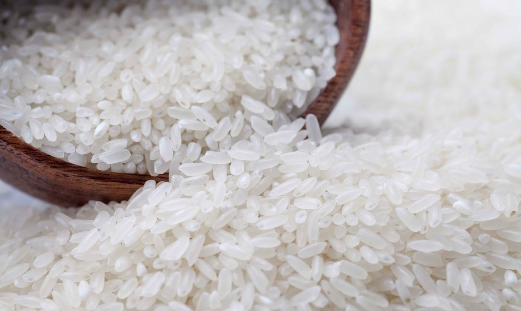 2025年10月全国大米价格行情