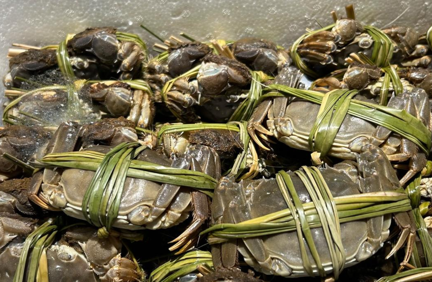 大闸蟹几月份吃最合适？