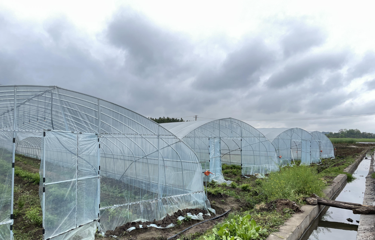 蔬菜大棚建设成本是多少?