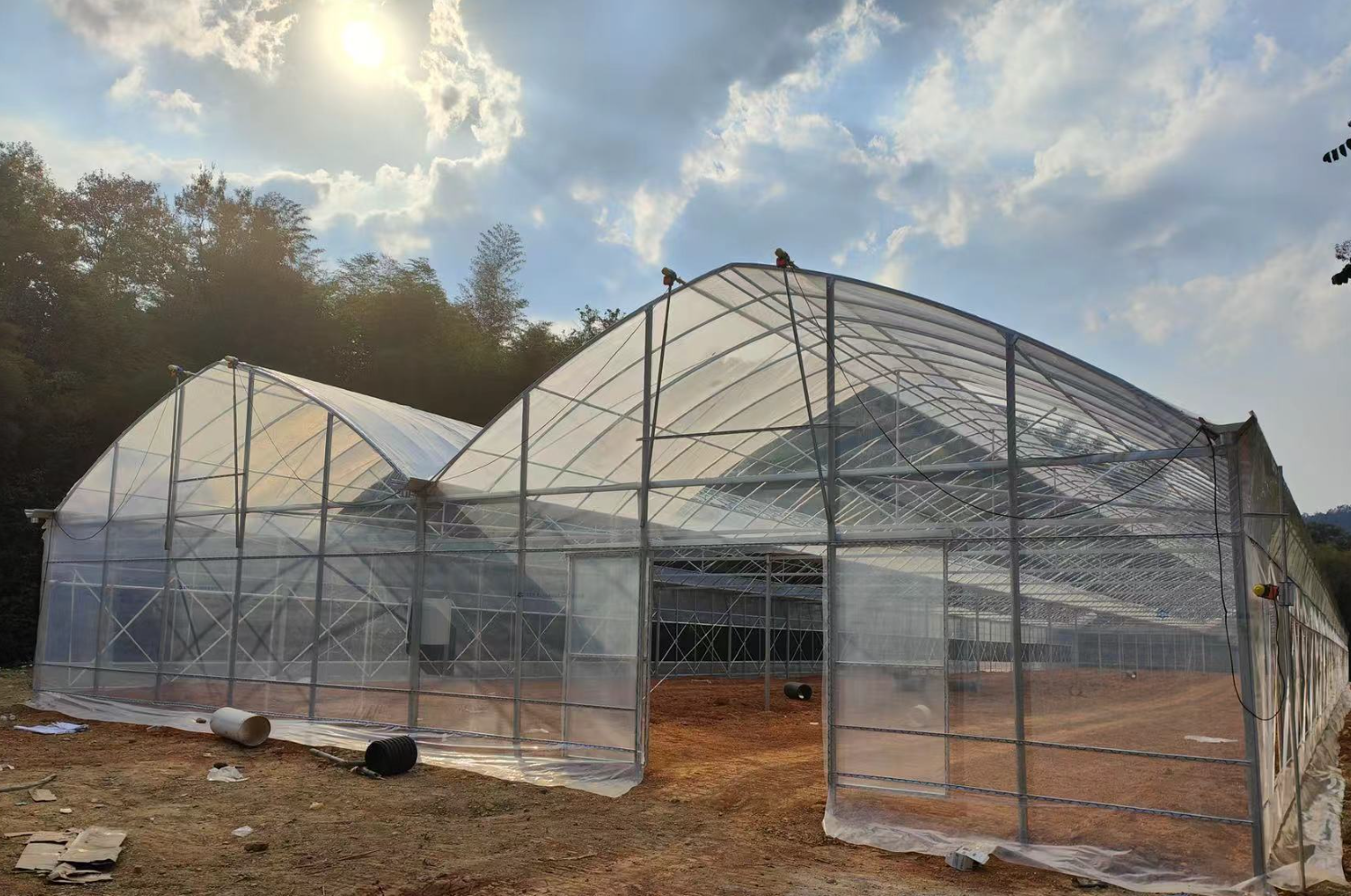 蔬菜大棚建设成本是多少?