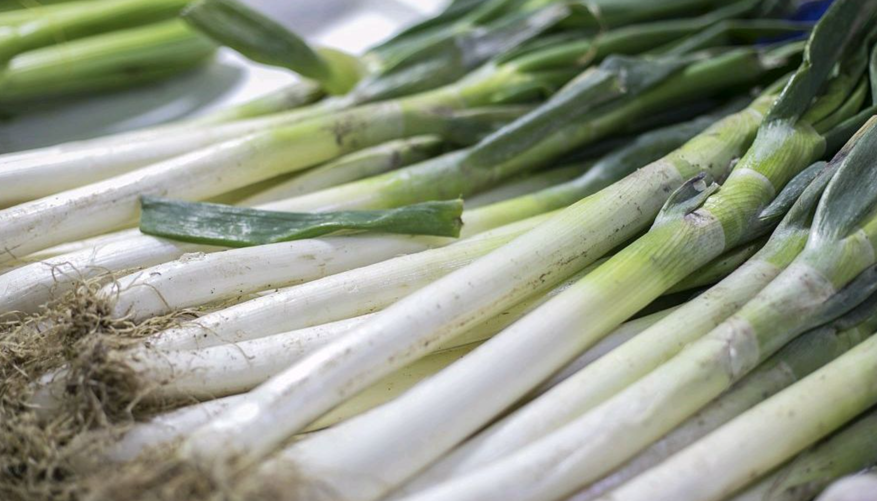 四种不怕重茬蔬菜推荐：韭菜大葱茄子生菜从春到秋轮番收