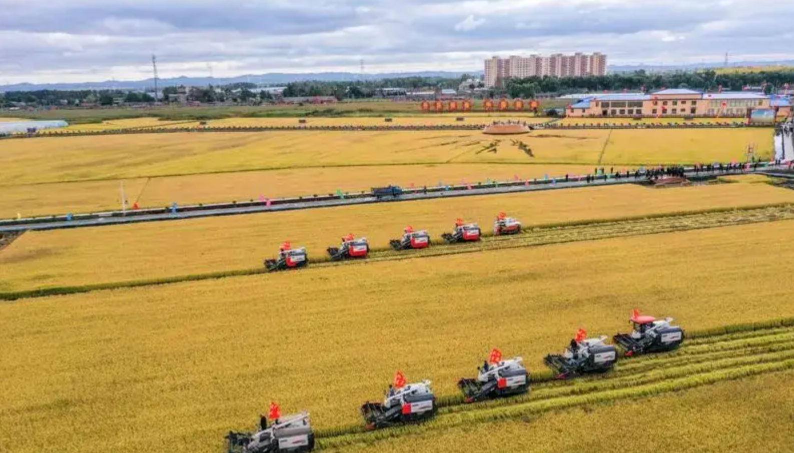 五年蝶变：解码中国农业农村 “十四五” 的六大跨越