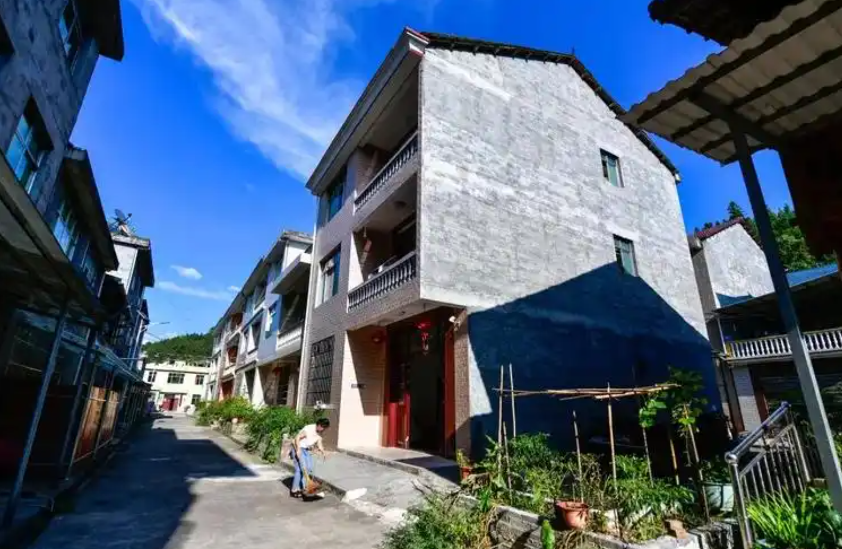 五年蝶变：解码中国农业农村 “十四五” 的六大跨越