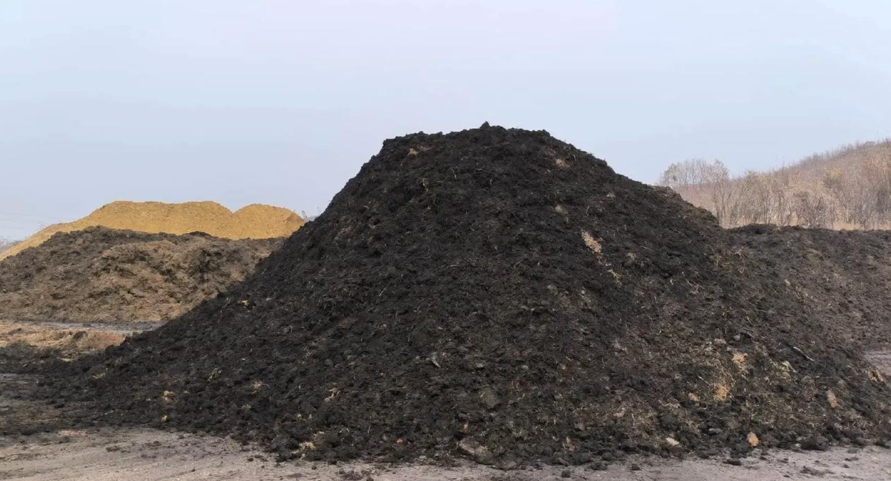 鸡粪如何变废为宝?