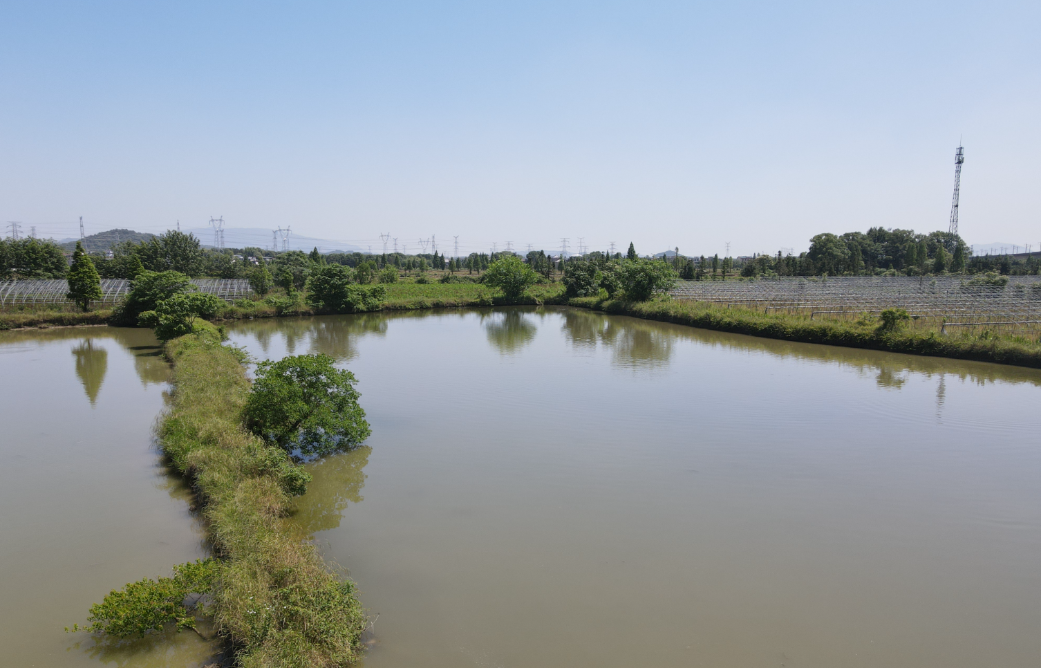 养鱼怎样才能省钱？