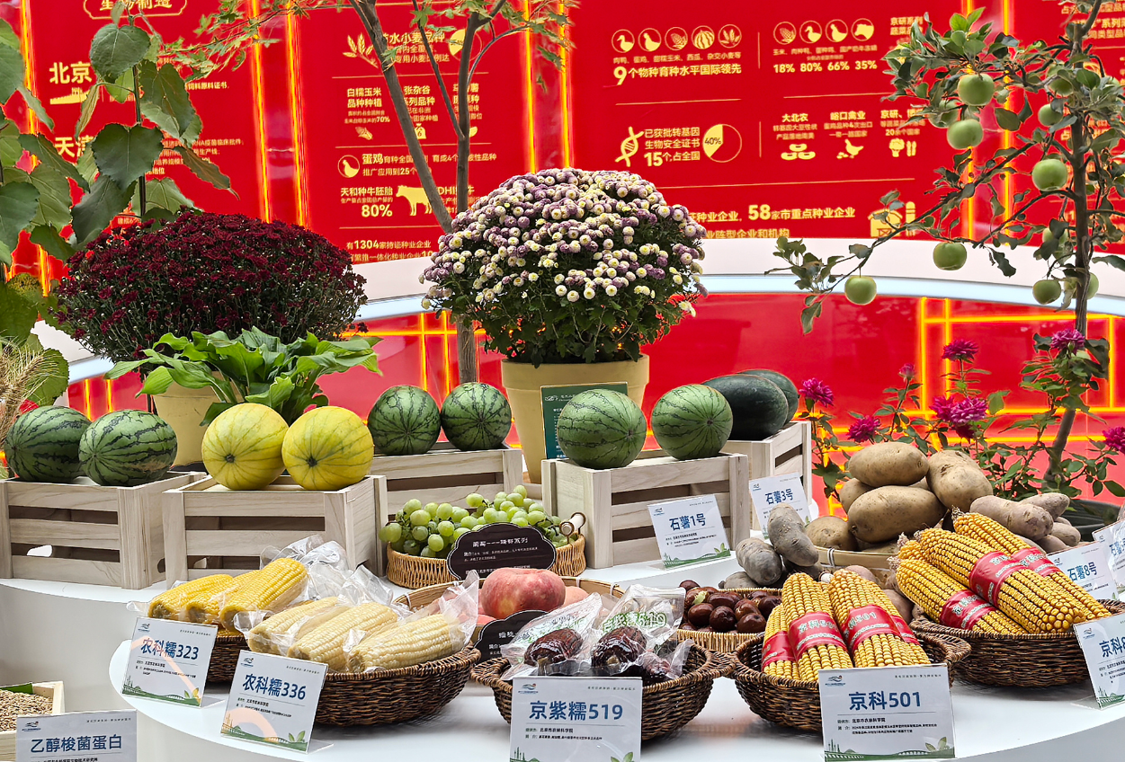 633项农业黑科技亮相,北京种业大会推动智能育种新时代