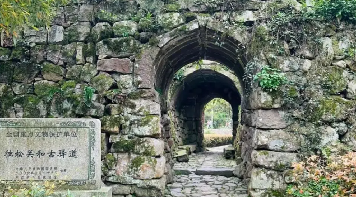 安吉黄双线:从出行困境到美丽农村路的蜕变