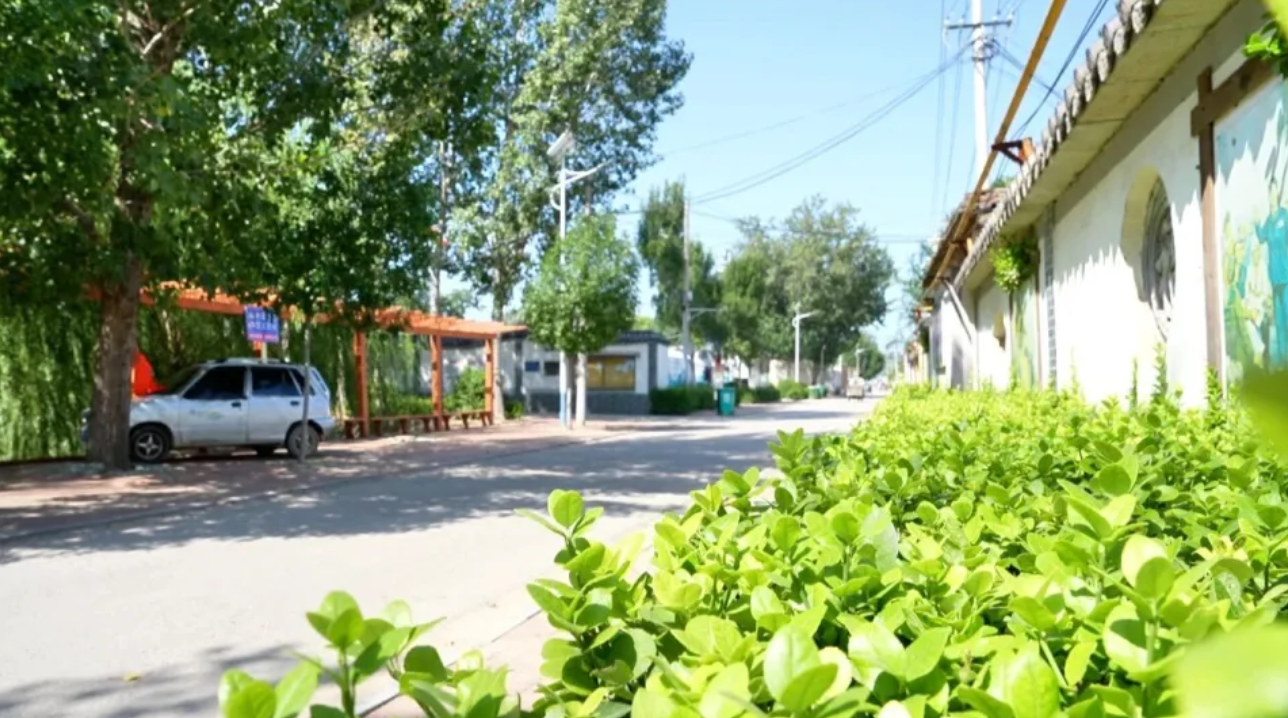 茌平区:人居环境焕新颜,绘就乡村振兴好图景