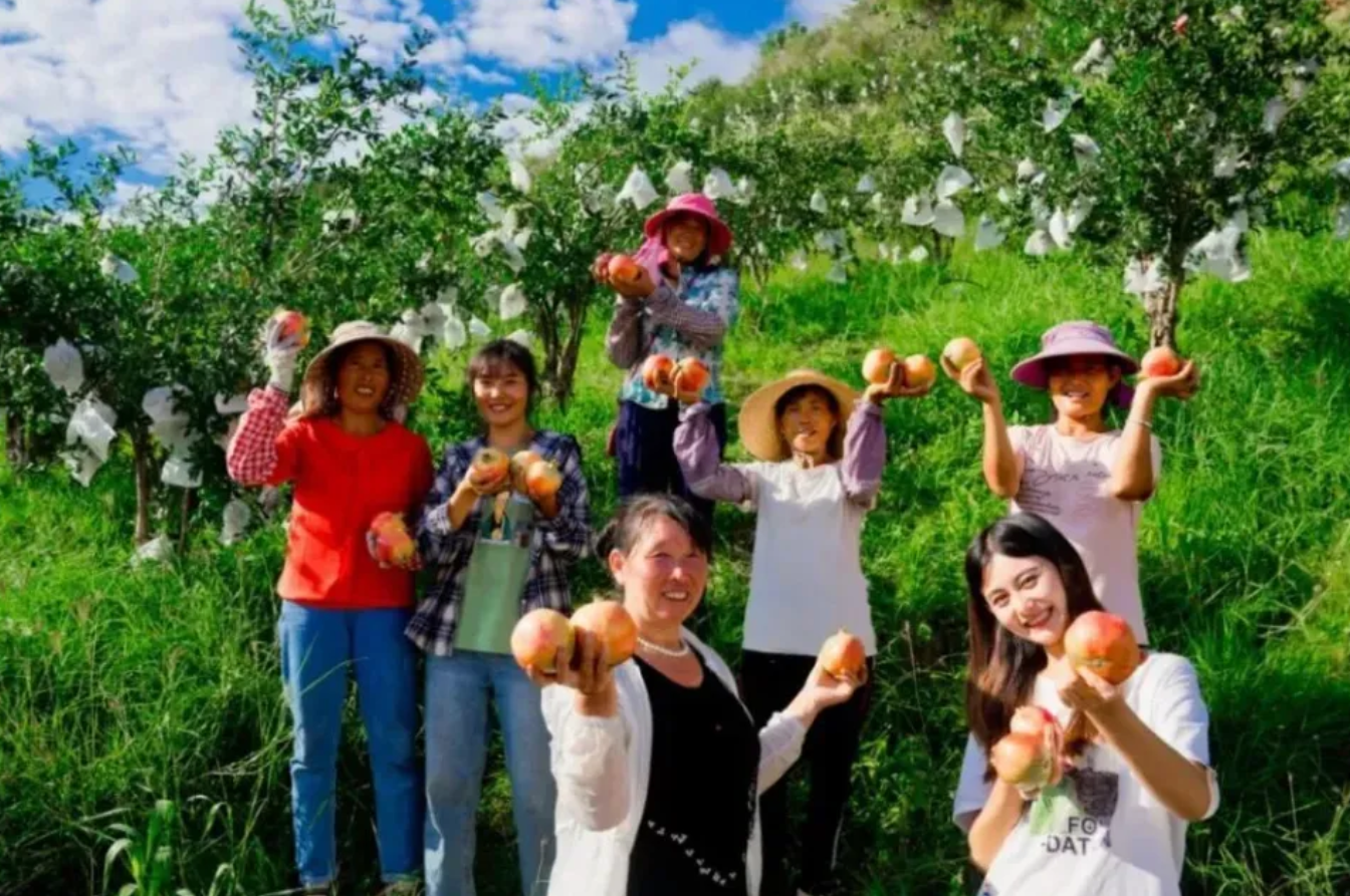 90 后村干部掌镜破局：一部手机带火乡村特产，千万产值背后的数字助农路