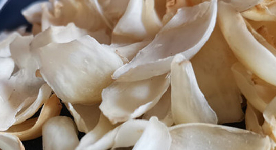 食用百合种植场景