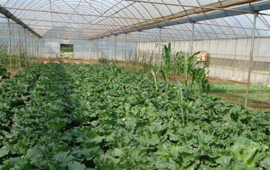 Localized image from t5.picb.cc