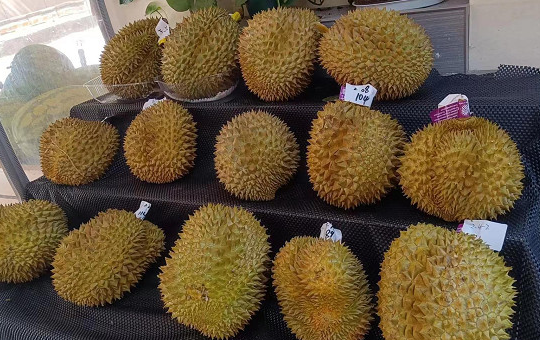 纸箱催熟的榴莲