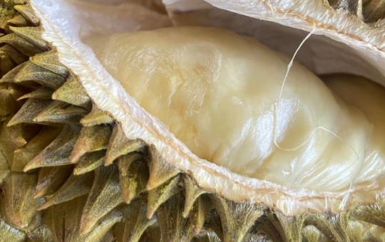 水果催熟的榴莲