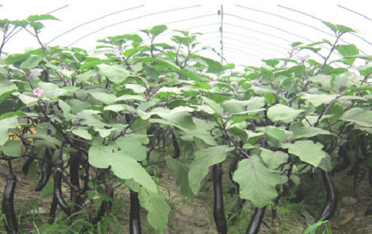 Localized image from t5.picb.cc