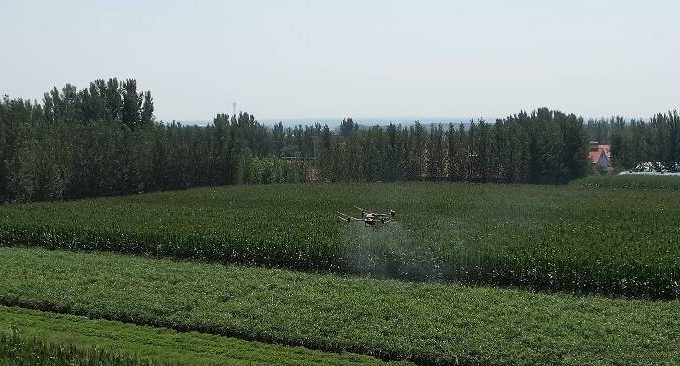 潍坊市农业保险相关场景