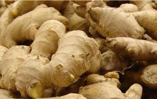 L几月份种生姜最合适?春季与秋季种植技巧全解析